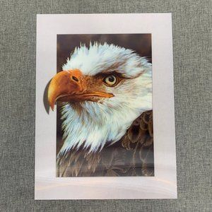Brand New! Bald Eagle 3D Lenticular‎ Poster 11.5"x15.5" Wall Art Decor Pops out